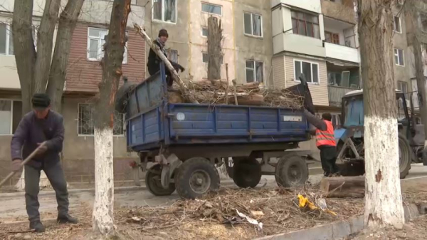 Девять человек пострадали в результате урагана в Таразе