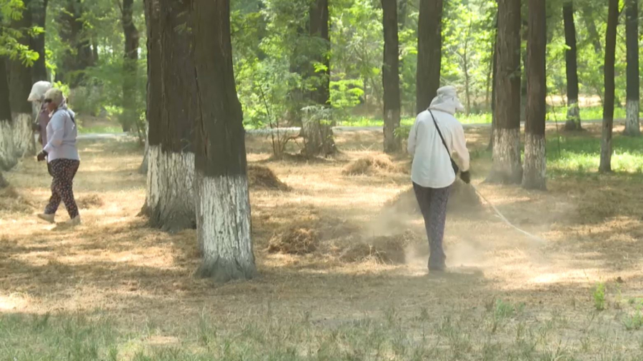 Таза Қазақстан: «Мамыр» тоғайы қоқыстан тазартылды