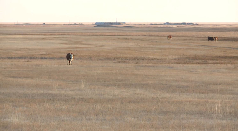 2 млн гектар жер мемлекет меншігіне өтті