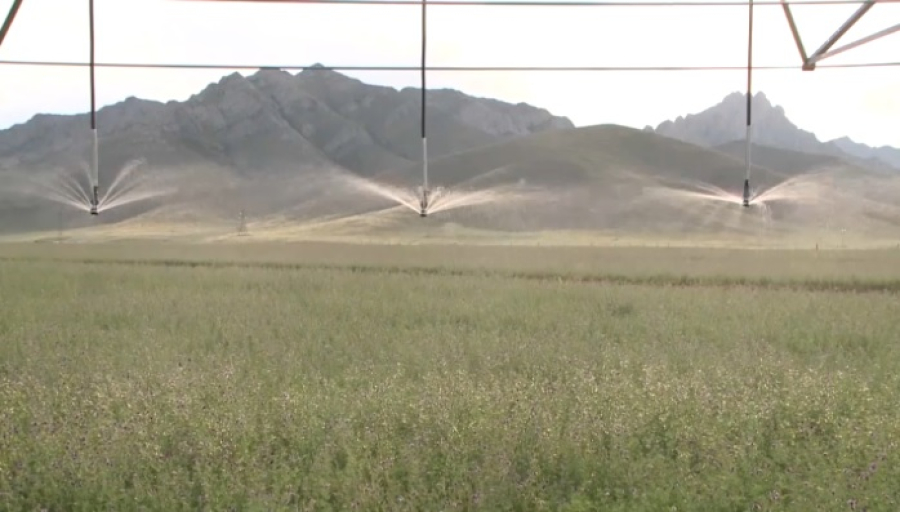 Влагосберегающие технологии продолжают внедрять в Туркестанской области