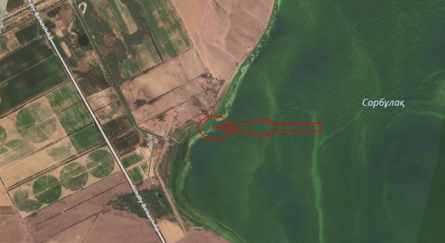 Обломки нашли на месте крушения вертолёта