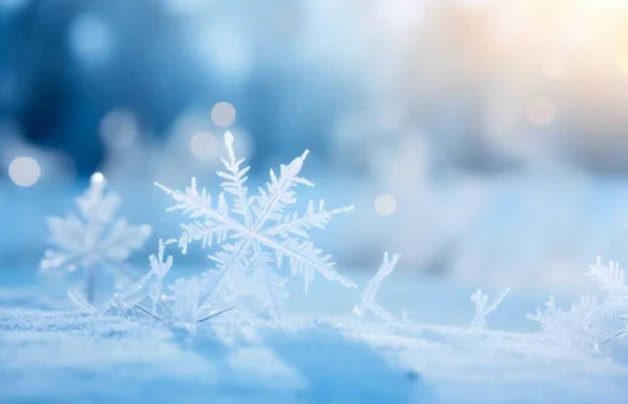 Снег, метель и морозы: погода на 19 февраля