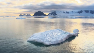 Антарктида потеряла морской лед размером с Аргентину