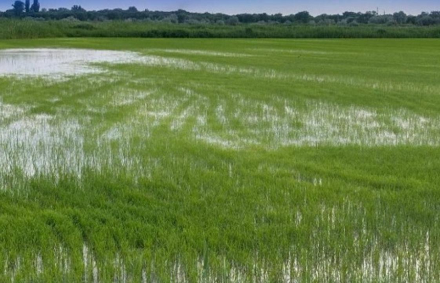 Более 760 км оросительных сетей отремонтируют в Алакольском районе