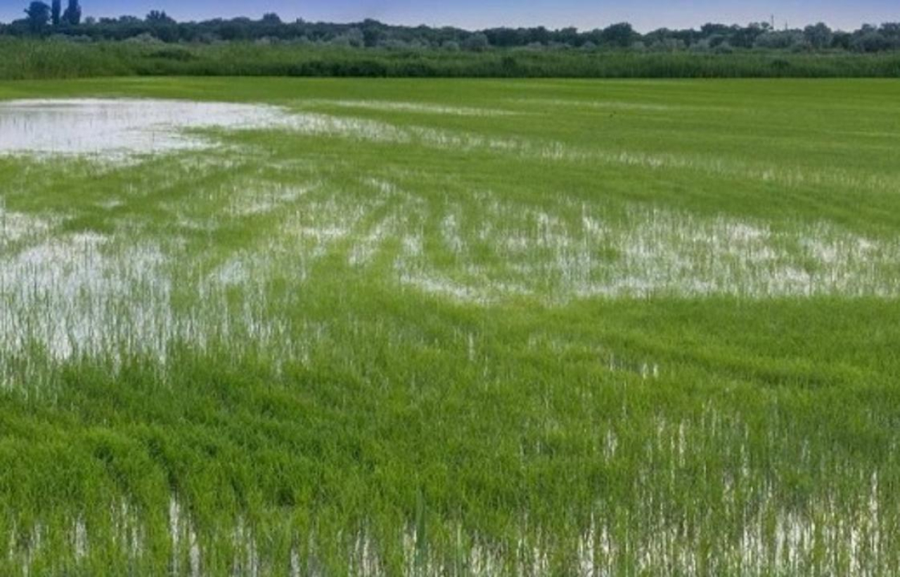 Более 760 км оросительных сетей отремонтируют в Алакольском районе