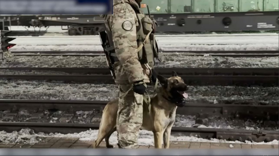 Кибералаяқ елге экстрадицияланды