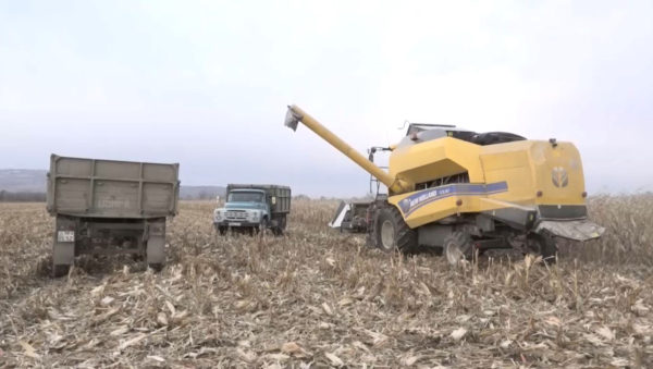Инвесторам не выдавали землю 3 года в области Жетісу