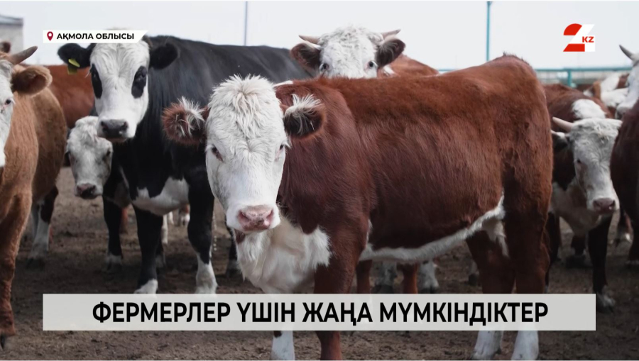 Қазақстандағы бордақылау алаңдары: фермерлер үшін жаңа мүмкіндіктер