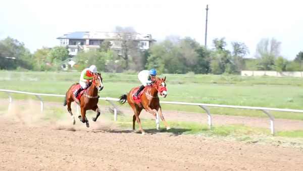 В Казахстане стартовал сезон конных скачек