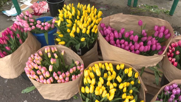 Как агрономы готовились к женскому празднику на юге Казахстана