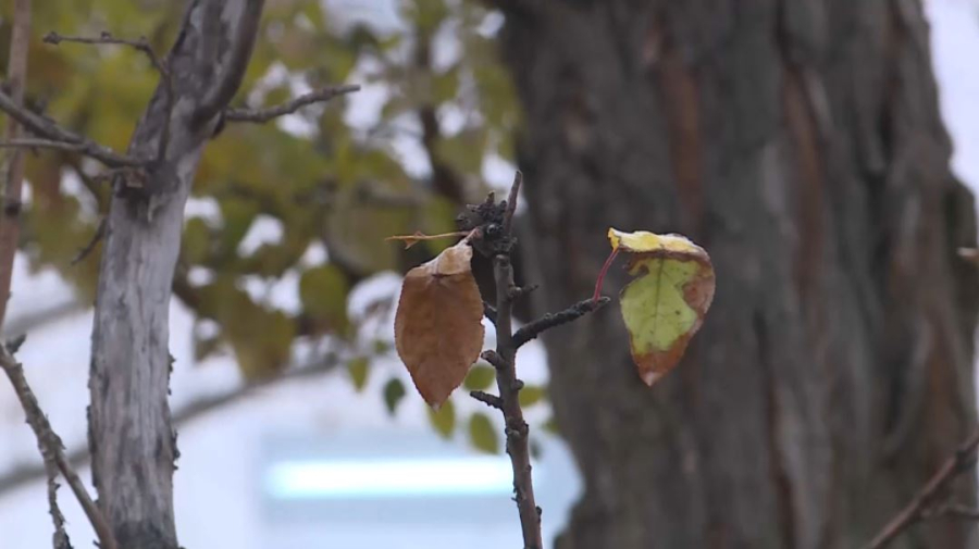 Ақпанның екінші онкүндігінде ауа райы қандай болады?