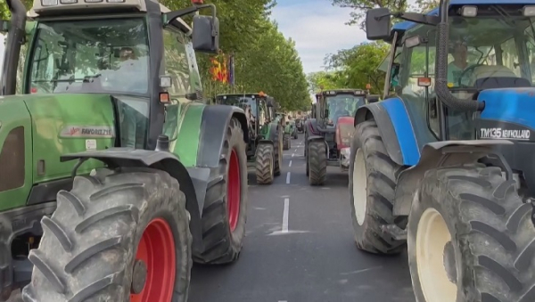 Испанияның фермерлері үкіметтен көмек сұрады