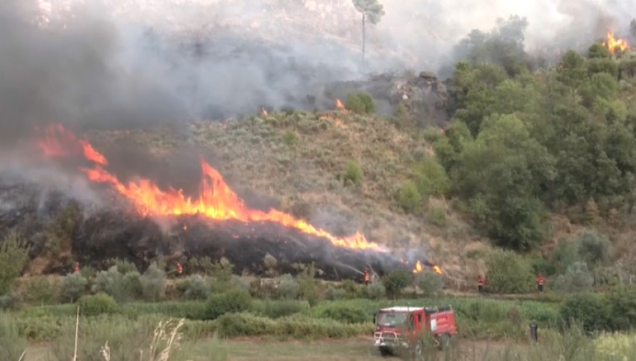 Четвертые сутки тушат крупный лесной пожар в Португалии