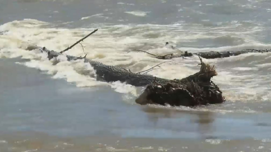 Реку Курчум возвращают в русло