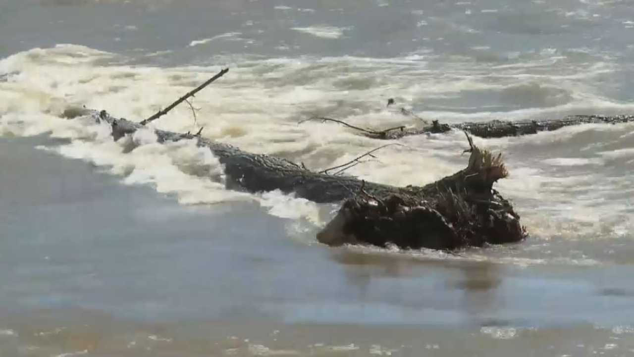 Реку Курчум возвращают в русло