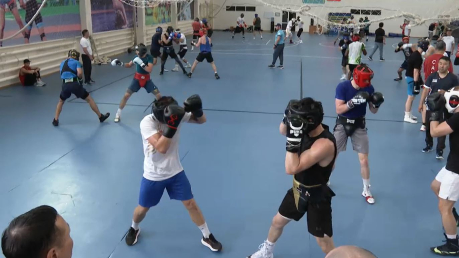 Астанада бокстан Әлем кубогі өтеді