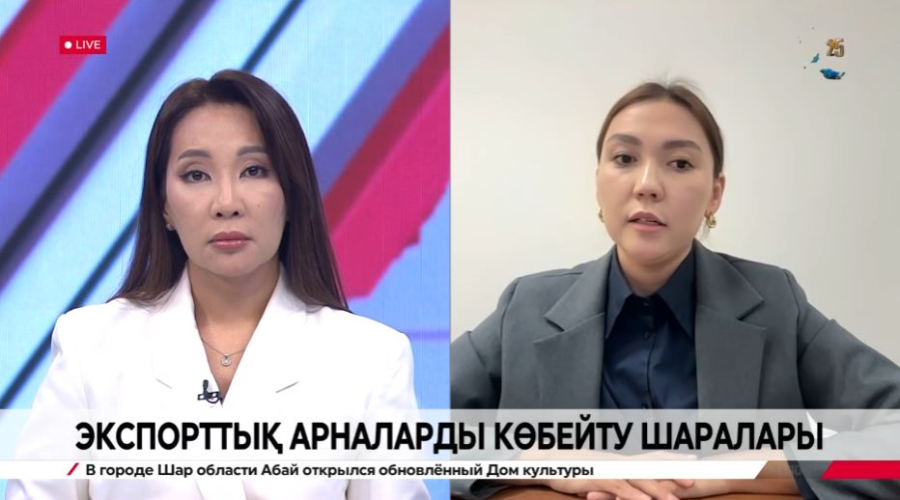 Экспорттық арналарды көбейту шаралары. Назгүл Хатепова