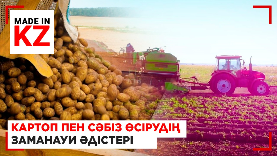Павлодар облысындағы су үнемдеу және картоп пен сәбіз өсіру технологиялары