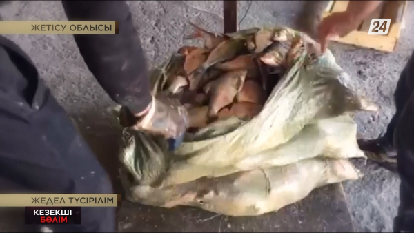 Талдықорған қаласында 57 жастағы браконьер қолға түсті | Кезекші бөлім