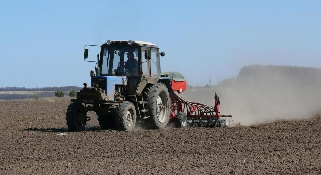 Что уже посеяно в Казахстане