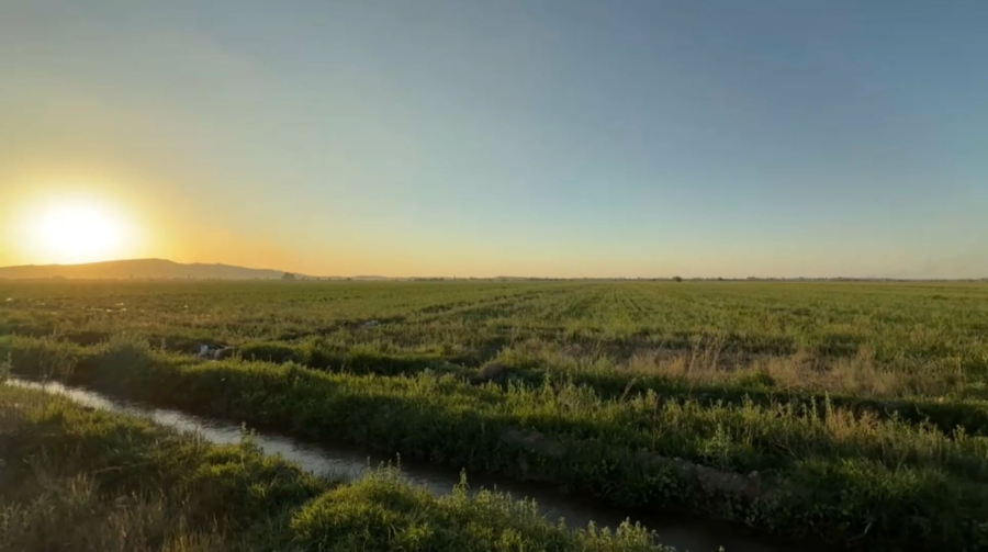 Су үнемдеу технологиясын пайдаланбайтын шаруаларға субсидия азаяды
