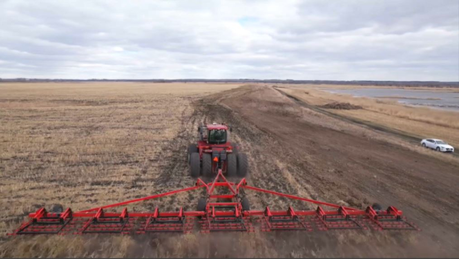 СҚО-да майлы дақылдар алқабы көбейеді