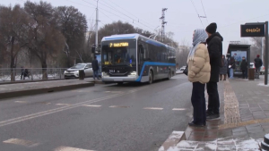 Строительство новой линии BRT вызвало споры среди алматинцев