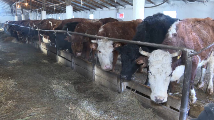 ₸1,2 млрд направят на льготные кредиты в области Улытау