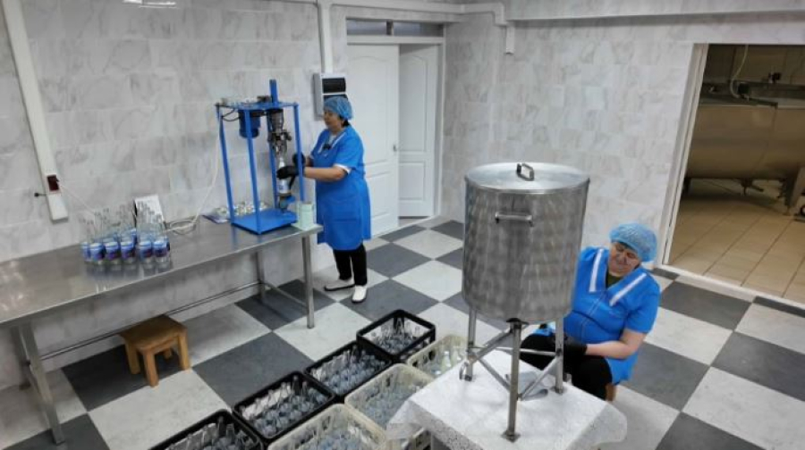 Кумыс как дело жизни: фермер из СКО сохраняет национальные традиции