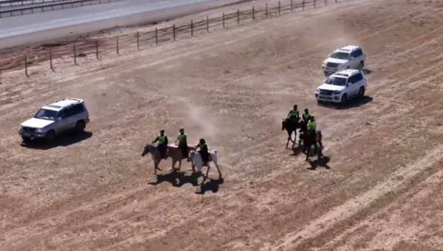 Халықаралық бәйге-марафон. LIVE