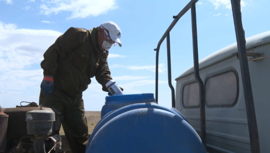 60% сельхозземель в Жамбылской области обработали от саранчи