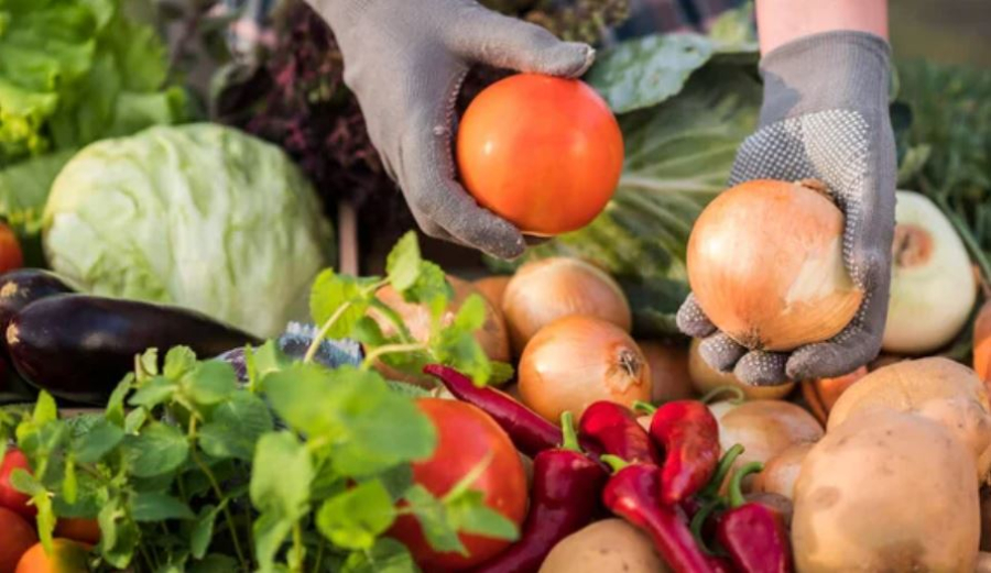 Праздничная сельхозярмарка пройдет в Астане