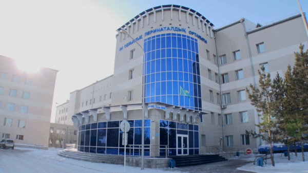 38 жастағы әйел он бірінші баласын дүниеге әкелді