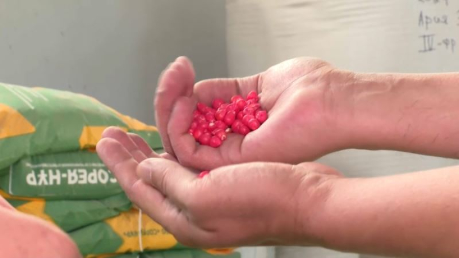 Завод по производству семян запустили в области Жетісу