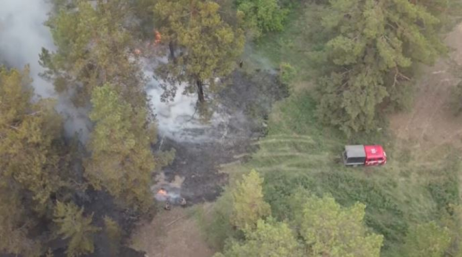 Пожар в области Абай локализовали 