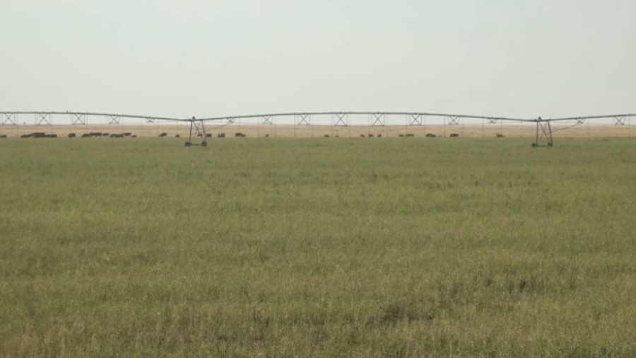 Площади орошаемых земель расширяют в ЗКО