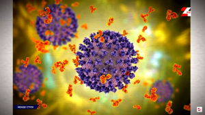 Новый штамм коронавируса может стать ведущим в мире в течение нескольких недель