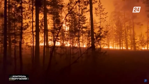 Масштабный пожар в области Абай: почему не были исправлены прежние ошибки? | Контроль поручений