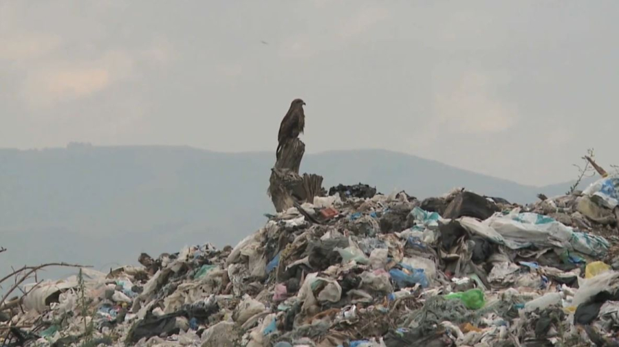 Өскемен қоқыс құрсауында қалуы мүмкін