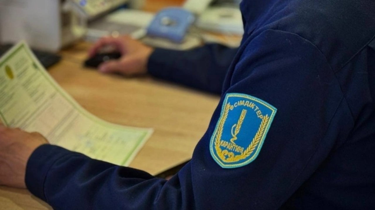 Ресейден карантиндік өнім тасымалдауда 1 213 заң бұзу анықталды