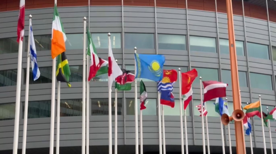 МАГАТЭ окажет поддержку Казахстану