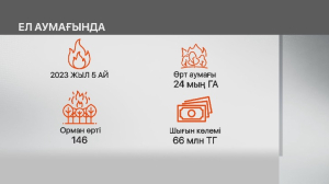 Елдегі орман өрттері туралы дерек