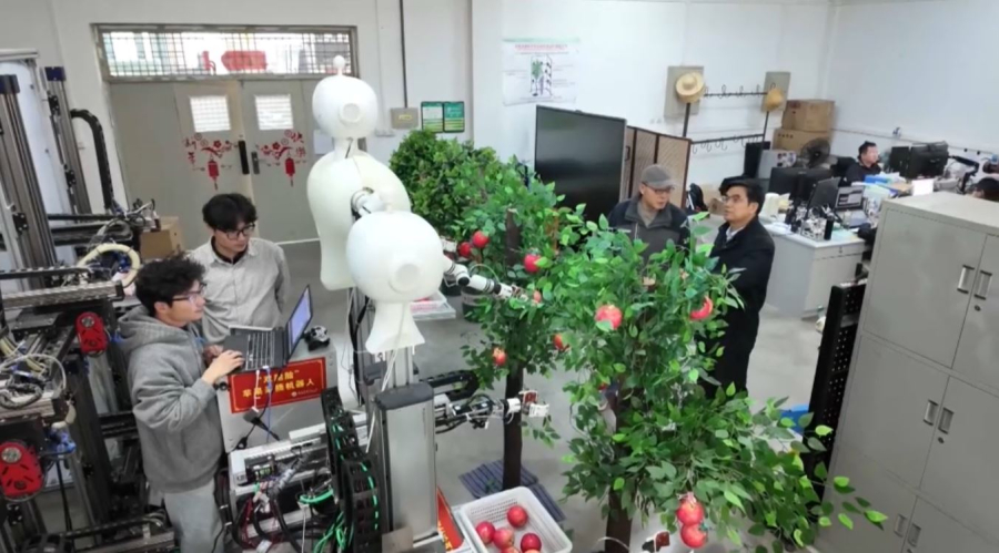 Жеміс жинайтын робот бағбан