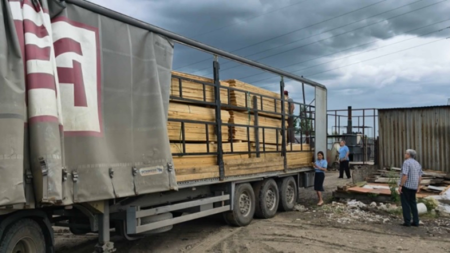 Зараженную древесину пытались завезти в СКО