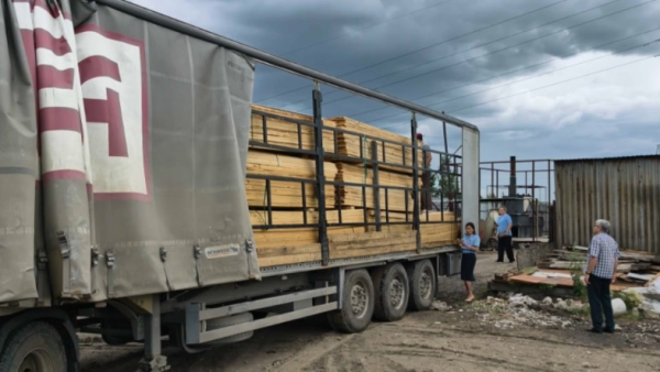 Зараженную древесину пытались завезти в СКО