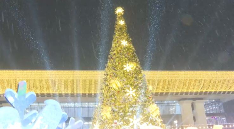 Огни новогодней ёлки зажгли в Алматы