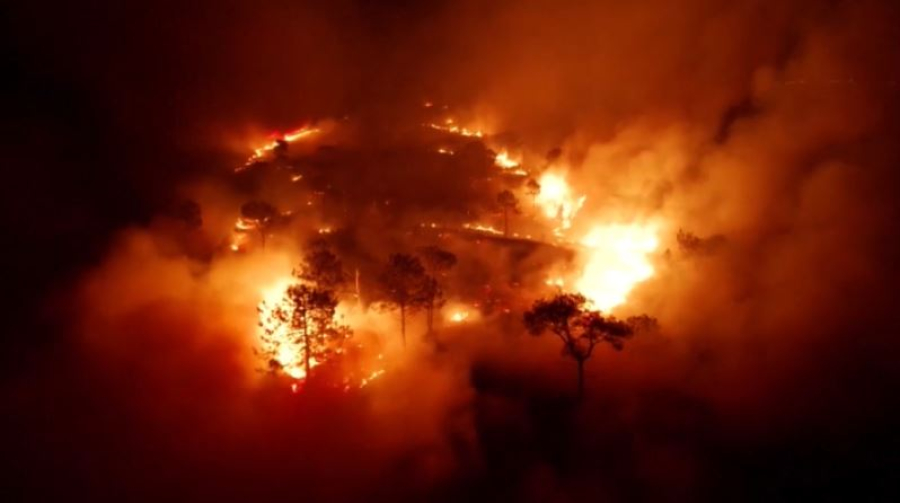 Сёла эвакуируют из-за лесного пожара в Греции