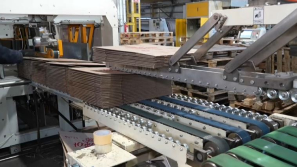 Павлодарские школьники изучили технологию создания экоупаковки