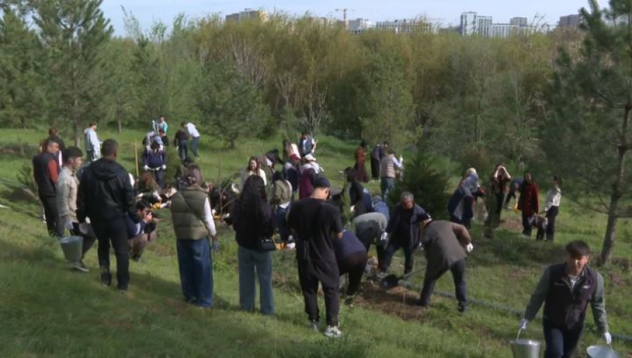В дендропарке Шымкента высаживают молодые деревья