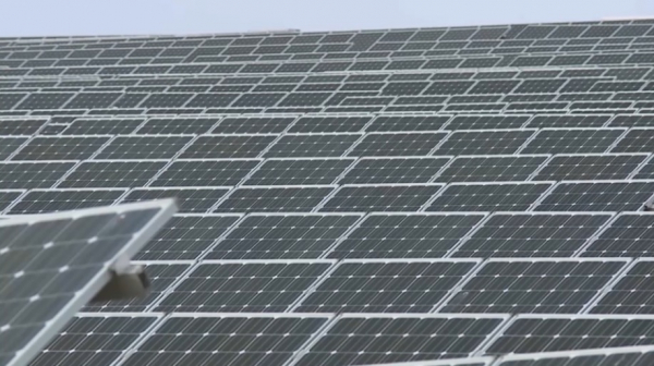 Индикаторы «зеленой» экономики интегрируют в региональные планы развития